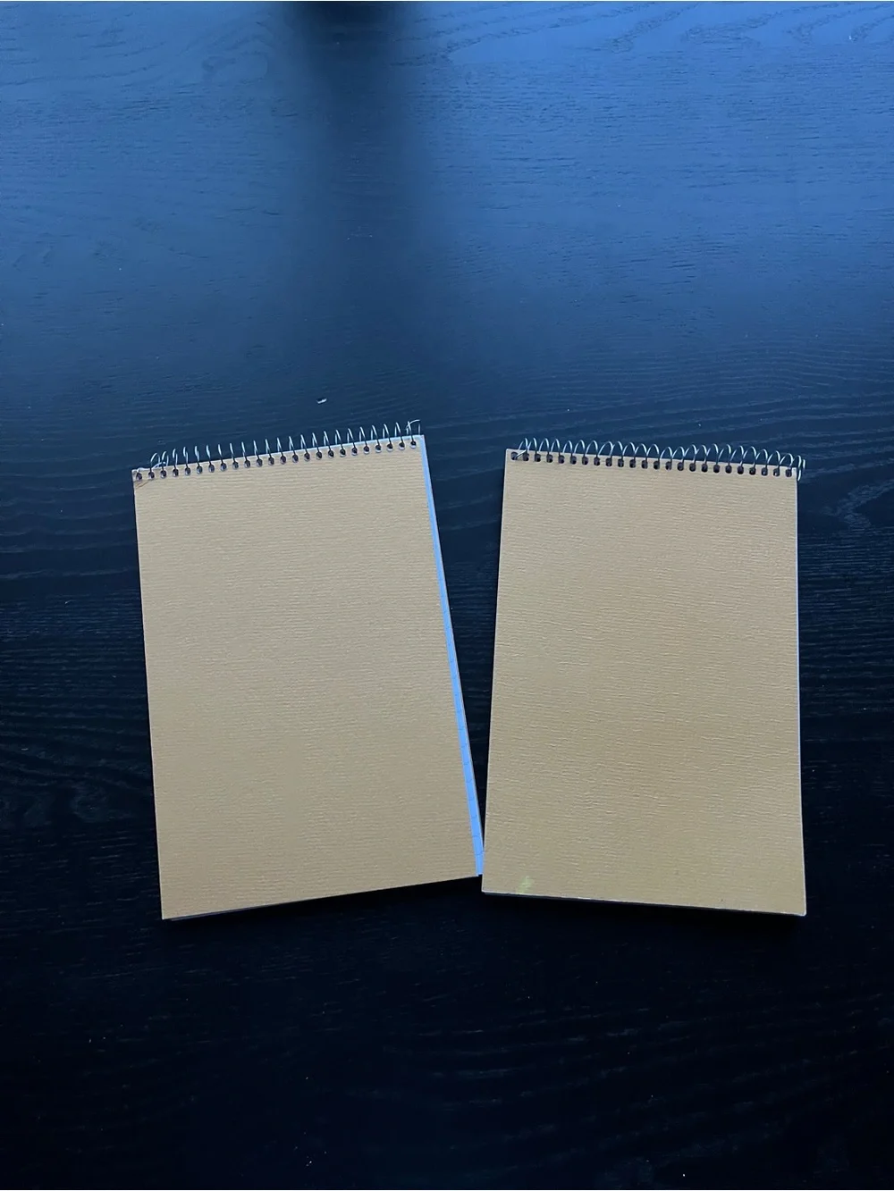 Staples Kraft Steno Book Spiral Memo Pad 6x9 Blue Ruled Gregg Line Notepad 2PK